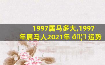 1997属马多大,1997年属马人2021年 🦆 运势